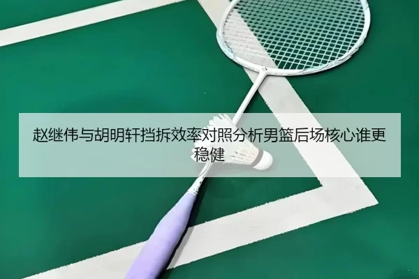 赵继伟与胡明轩挡拆效率对照分析男篮后场核心谁更稳健（bet365 app）